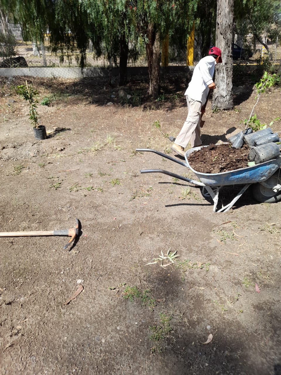 1688316879 396 El Ayuntamiento de Texcoco realiza el mantenimiento de las instalaciones