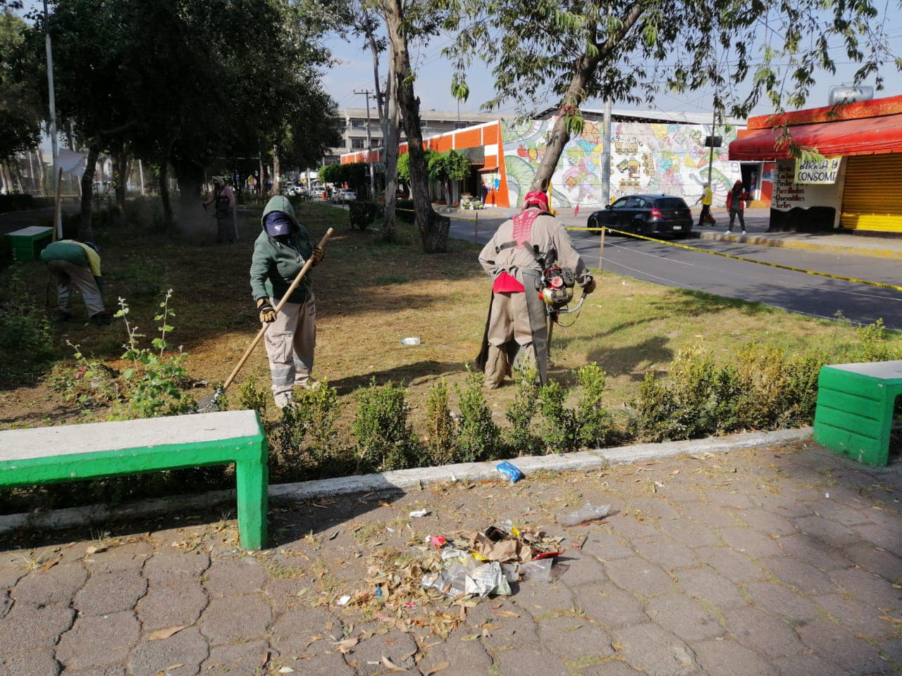 1688319648 Para mejorar la imagen de las areas verdes y avenidas