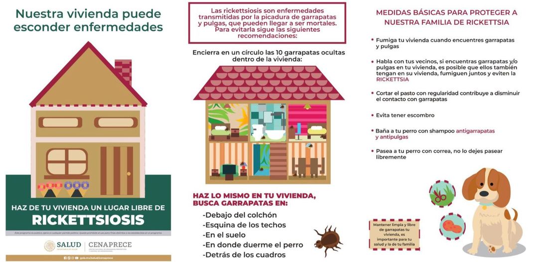 1688326723 Rickettsiosis II Por una vivienda libre de enfermedades Las enfermedades