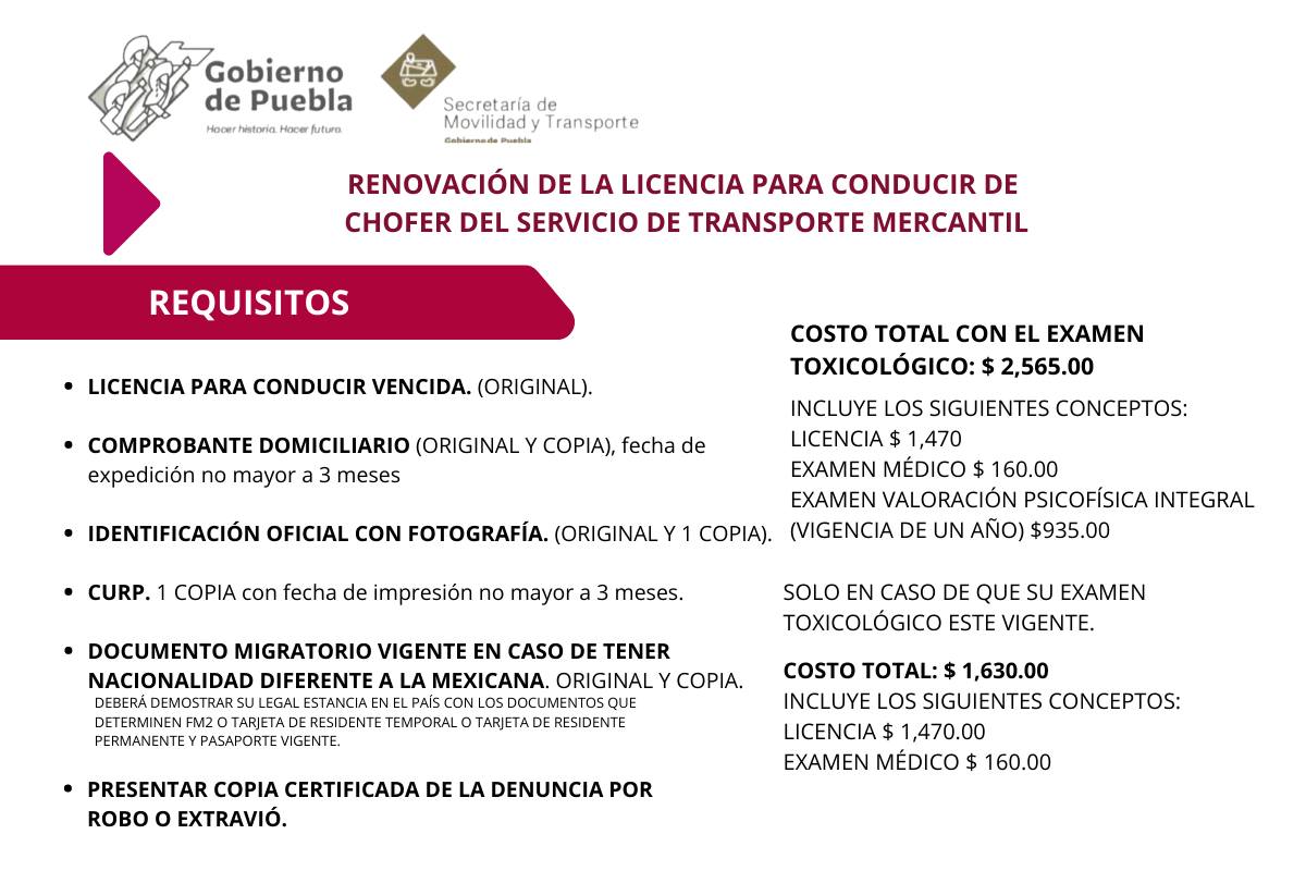 1688395767 485 Recuerda modulo de licencias para operador de transporte publico y