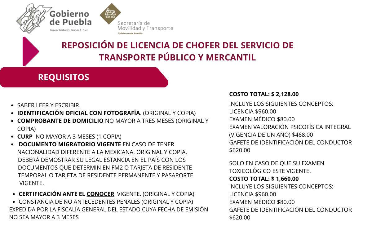 1688395781 778 Recuerda modulo de licencias para operador de transporte publico y