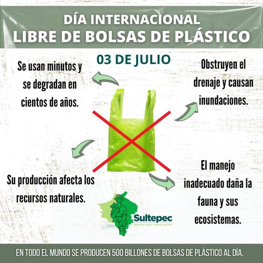 1688407423 03 de julio Dia Internacional Libre de Bolsas de