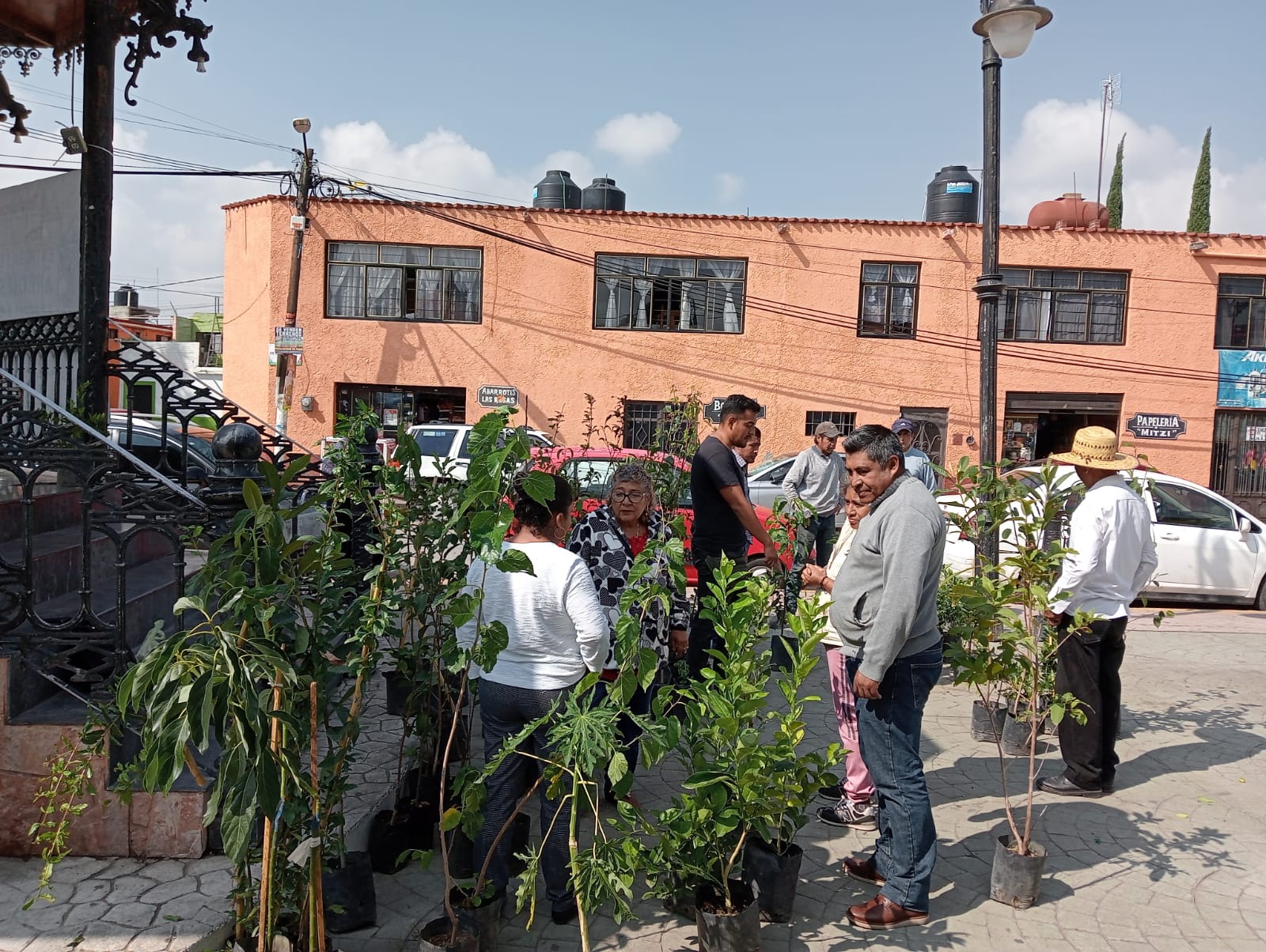 1688411542 219 Siembra un arbol siembra vida La Direccion de Fomento Agropecuario