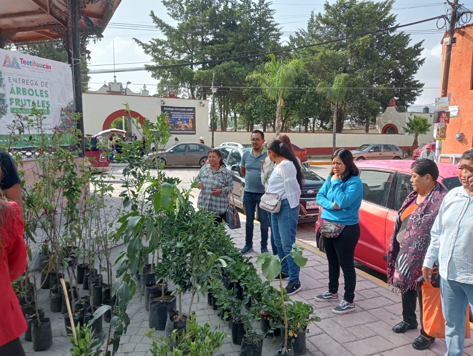 1688411549 656 Siembra un arbol siembra vida La Direccion de Fomento Agropecuario