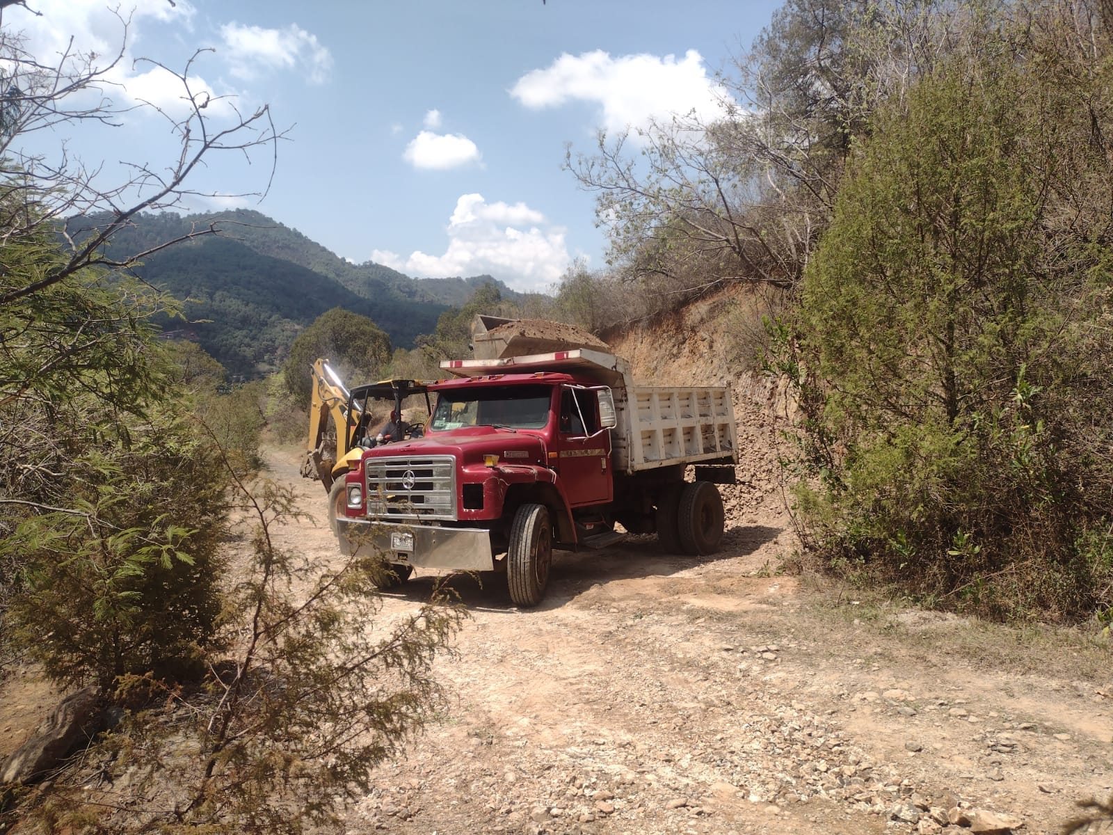 1688417372 61 Seguimos trabajando en las brechas saca cosechas