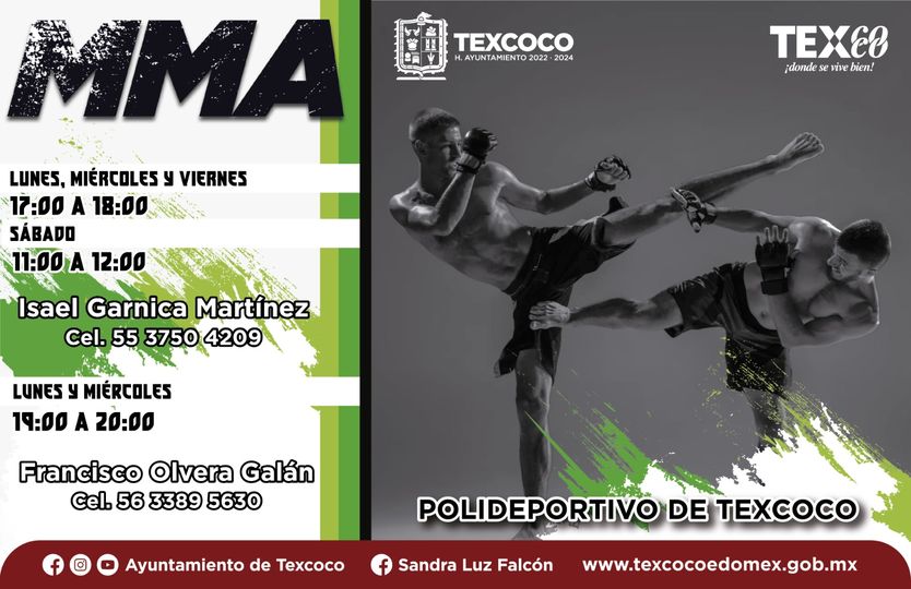 1688426867 Entrena Artes Marciales Mixtas en sus distintos horarios en el