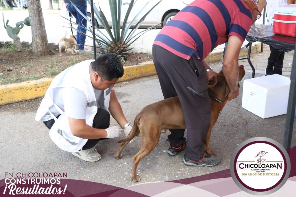 1688472395 992 El dia de hoy la Coordinacion de Control de Zoonosis