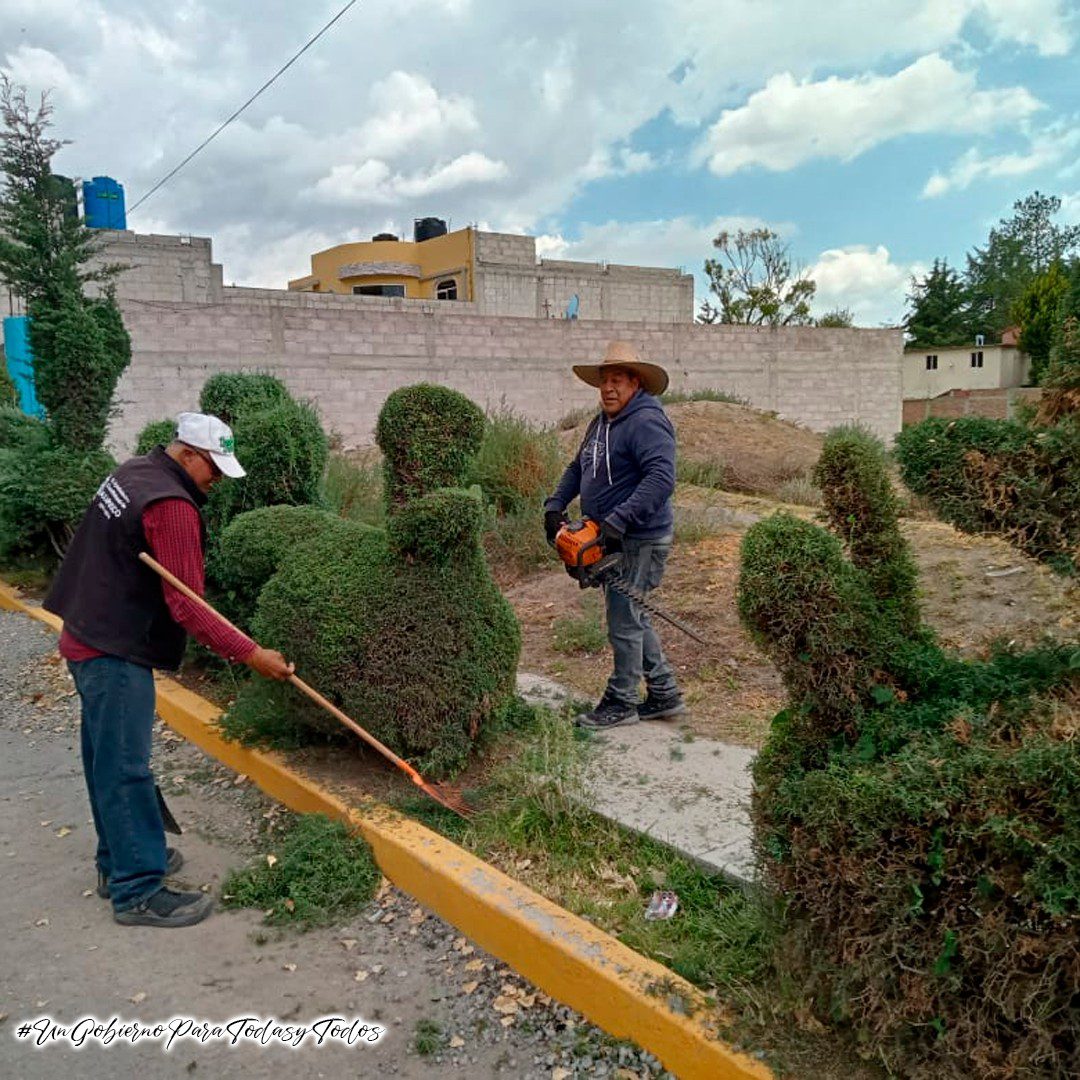 1688488165 365 La Coordinacion de Parques Jardines y Panteones del H Ayuntamiento