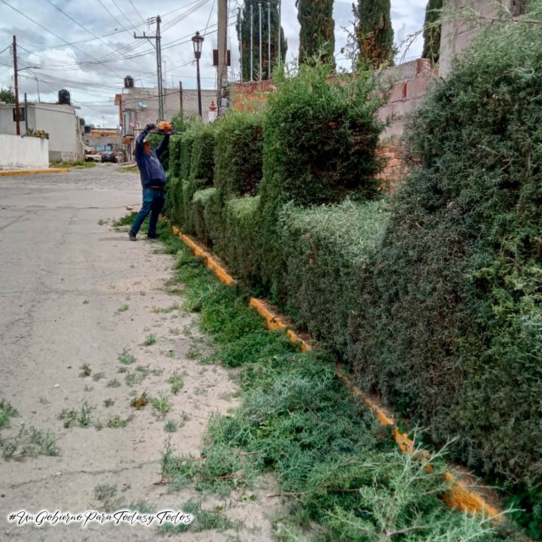 1688488173 190 La Coordinacion de Parques Jardines y Panteones del H Ayuntamiento