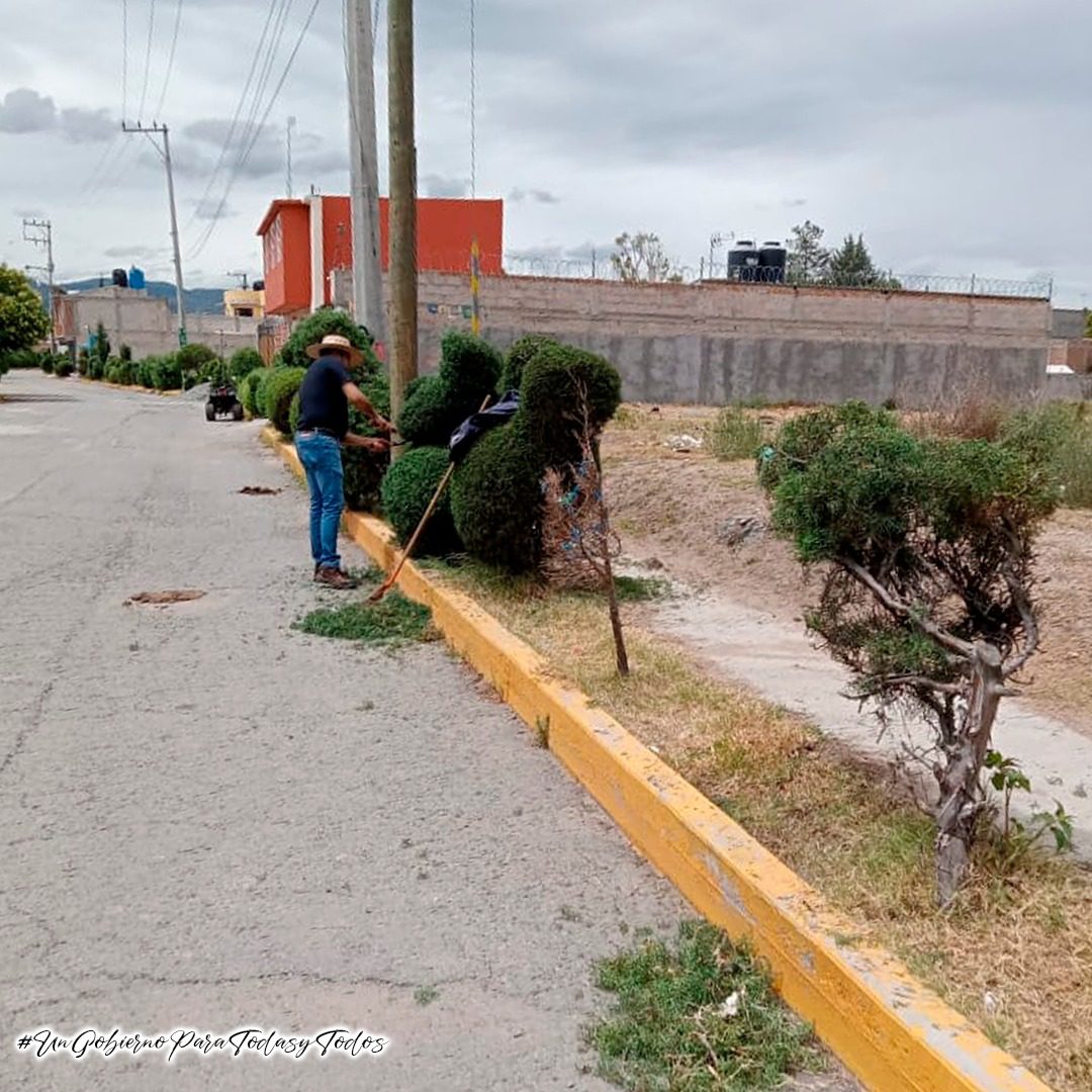 1688488214 La Coordinacion de Parques Jardines y Panteones del H Ayuntamiento