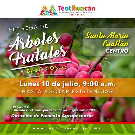 1688493162 Entrega de arboles frutales a bajo costo