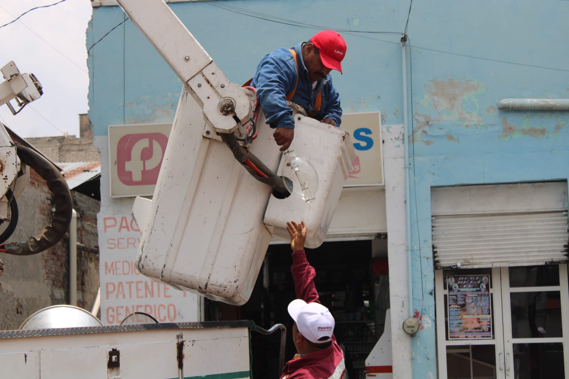 1688495097 127 Con el objetivo principal de preservar las areas verdes y