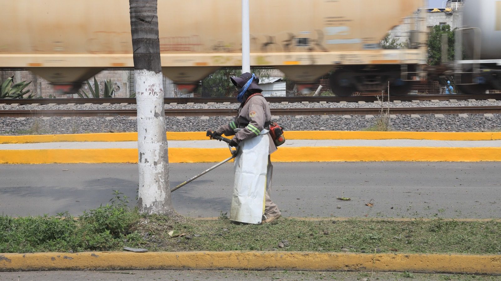 1688502998 730 En el libramiento San Mateo se realiza el embellecimiento de