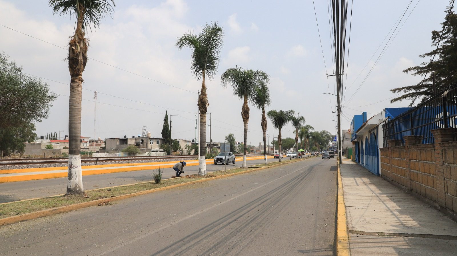 1688503044 En el libramiento San Mateo se realiza el embellecimiento de