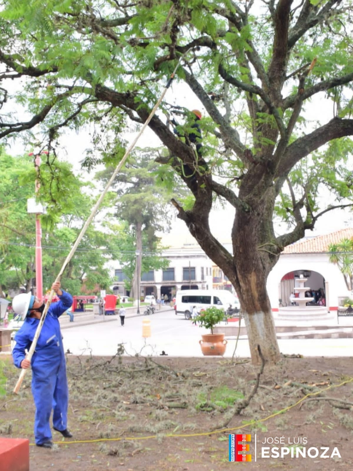 1688586985 247 A peticion ciudadana se sanea arboles del atrio municipal retirando