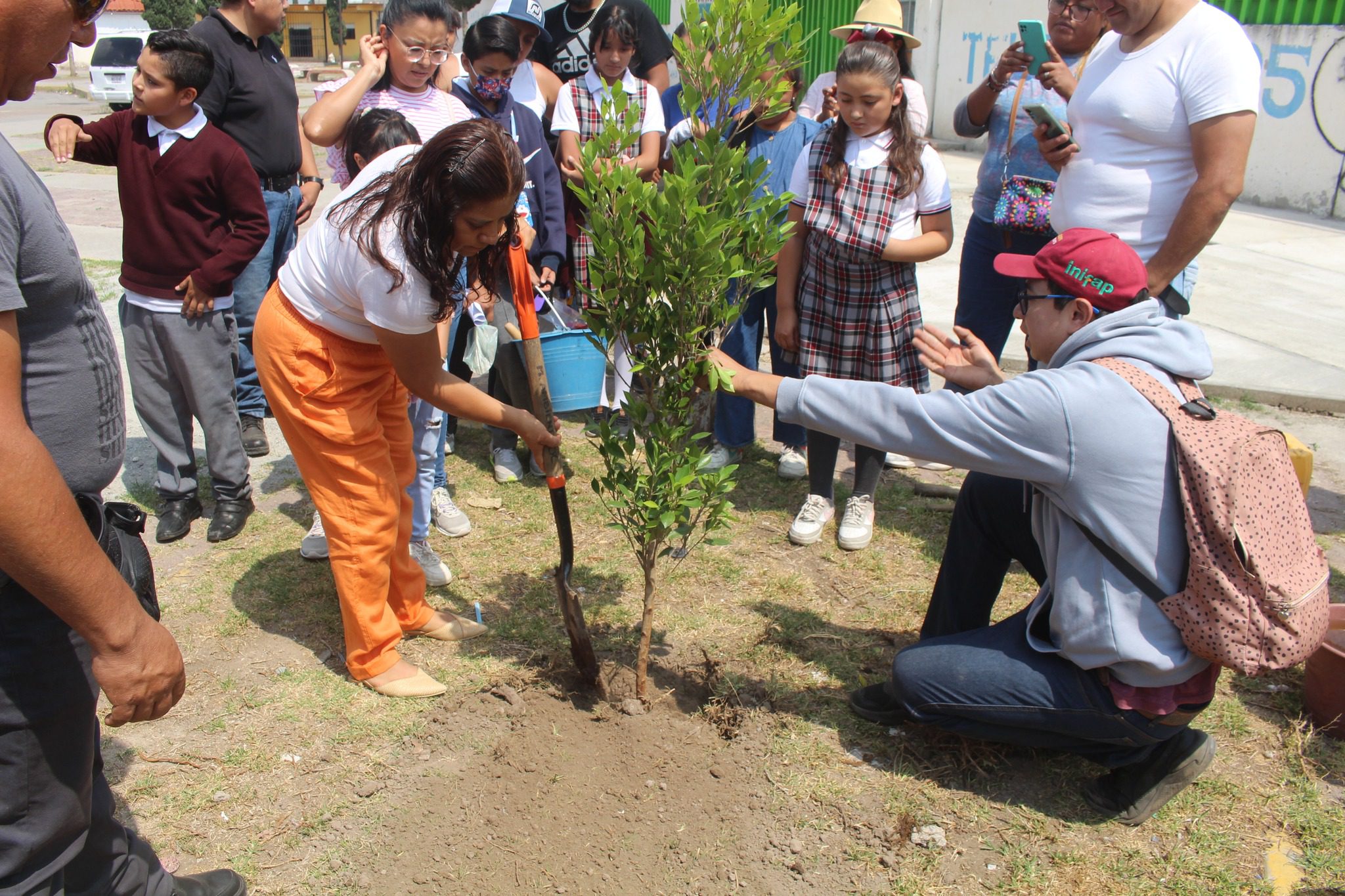 1688587894 200 ¡¡¡PROGRAMA DE REFORESTACION EN ESCUELA PRIMARIA LEONA VICARIO DE SANTA