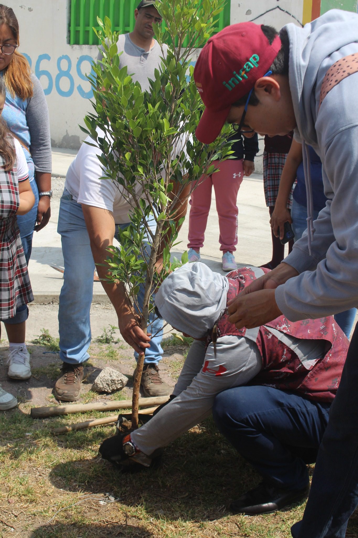 1688587910 236 ¡¡¡PROGRAMA DE REFORESTACION EN ESCUELA PRIMARIA LEONA VICARIO DE SANTA