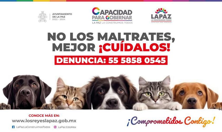 1688588368 Se un VecinoResponsable no los maltrates LaPazLaConstruimosTodos