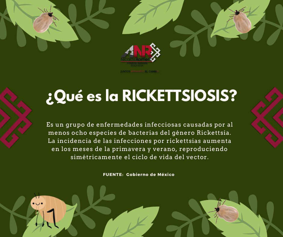 1688650345 423 Recuerda que tenemos Jornada Nacional de Prevencion de la Rickettsiosis