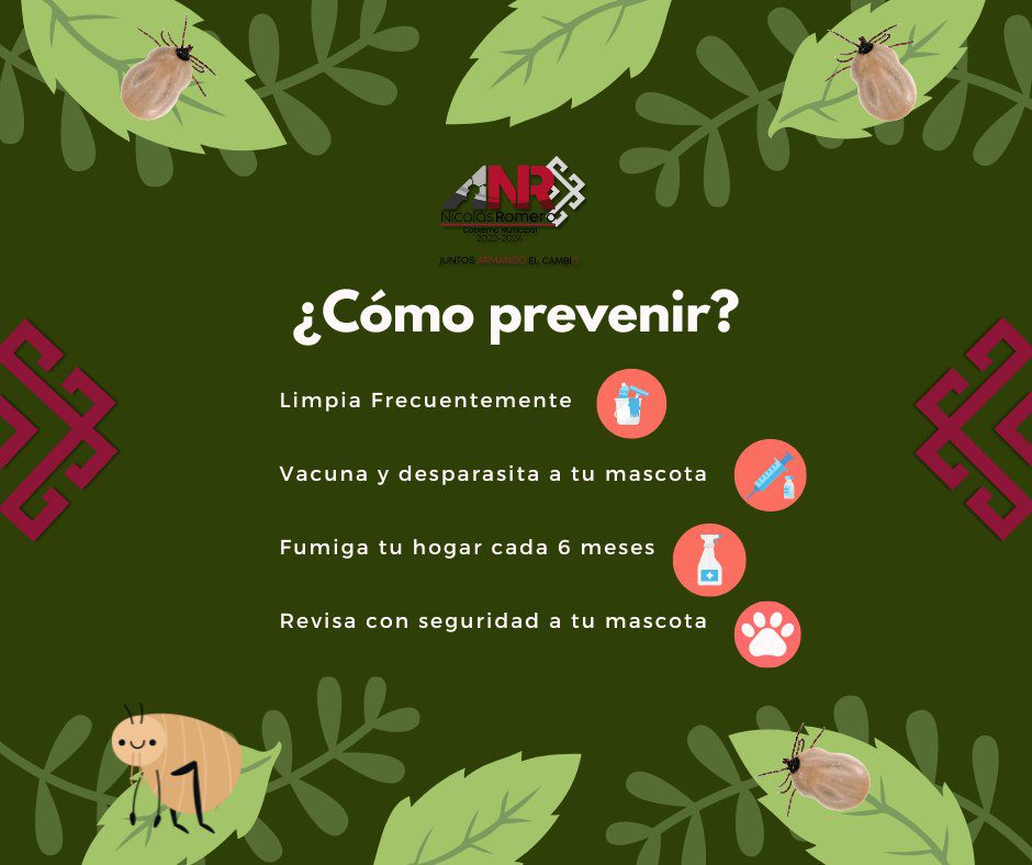 1688650353 643 Recuerda que tenemos Jornada Nacional de Prevencion de la Rickettsiosis