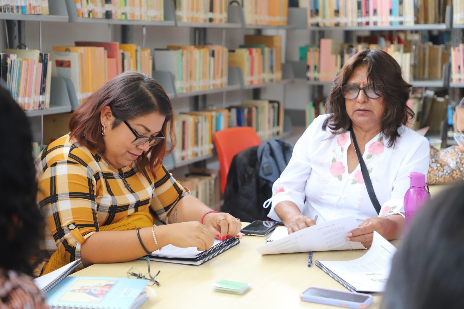 1688651913 63 En las instalaciones de la biblioteca Publica Municipal Juana de