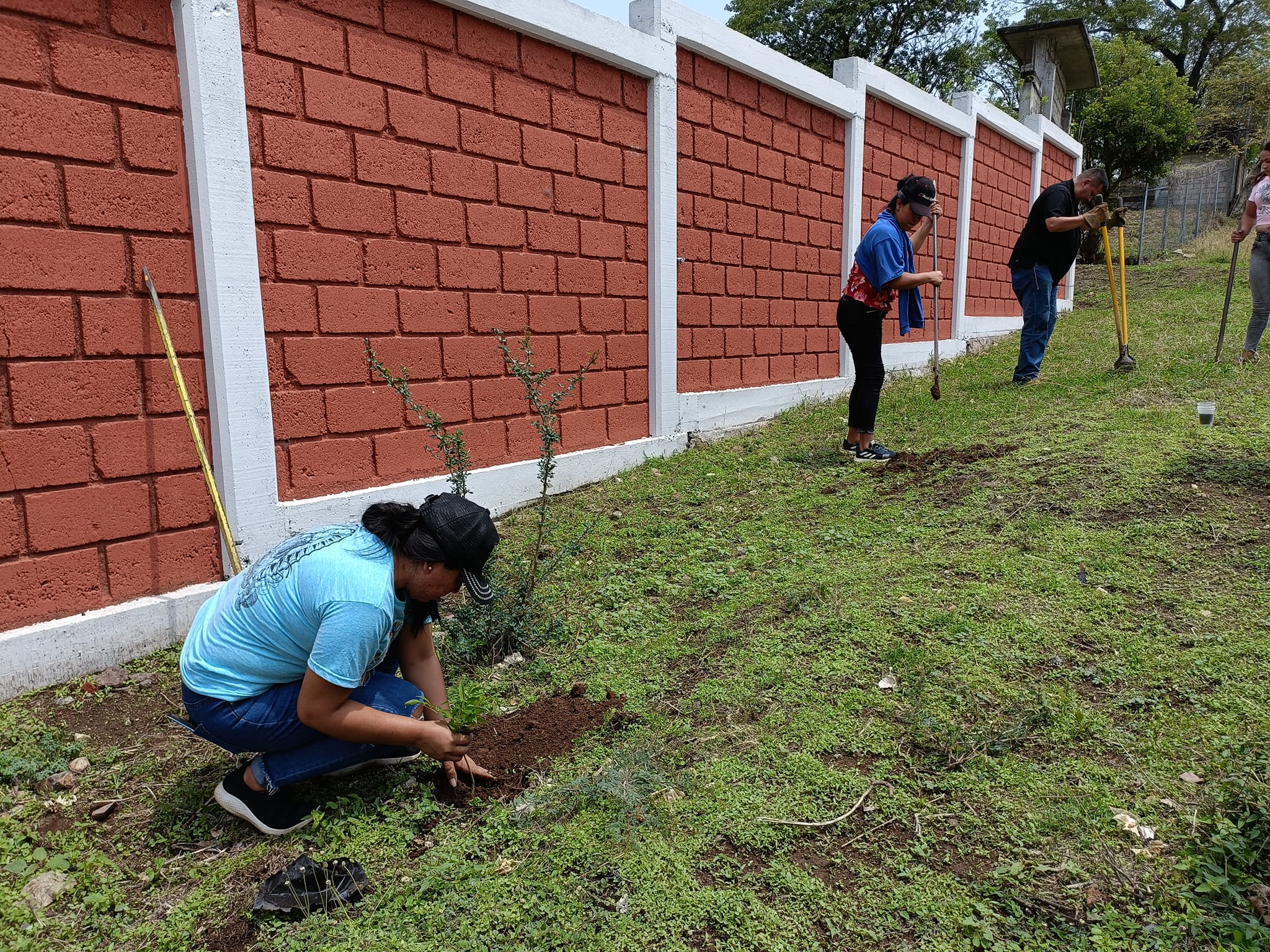 1688663556 874 A traves de la Direccion de Ecologia y Medio Ambiente