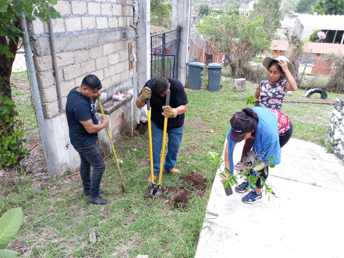 1688663566 408 A traves de la Direccion de Ecologia y Medio Ambiente