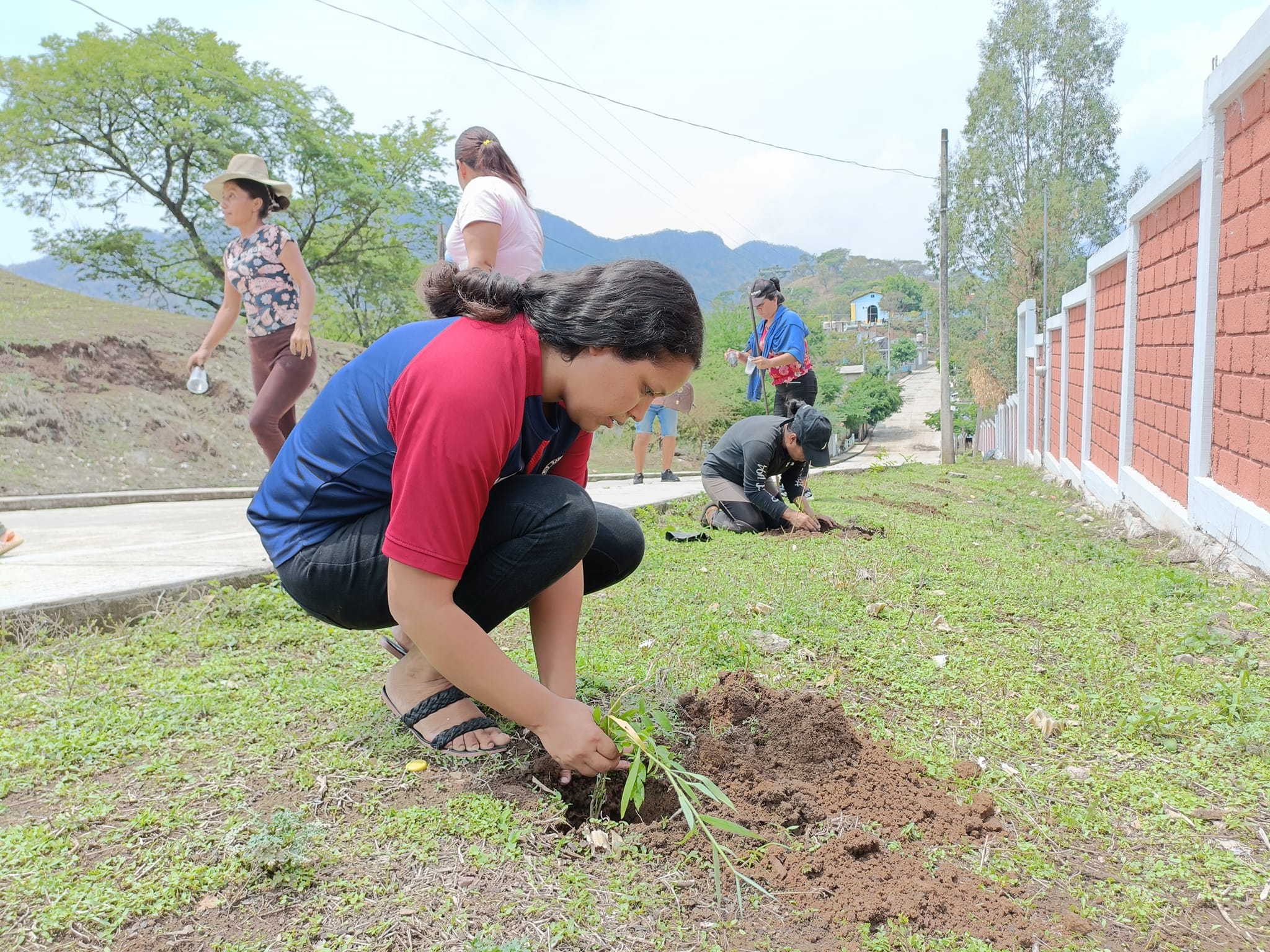 1688663575 684 A traves de la Direccion de Ecologia y Medio Ambiente