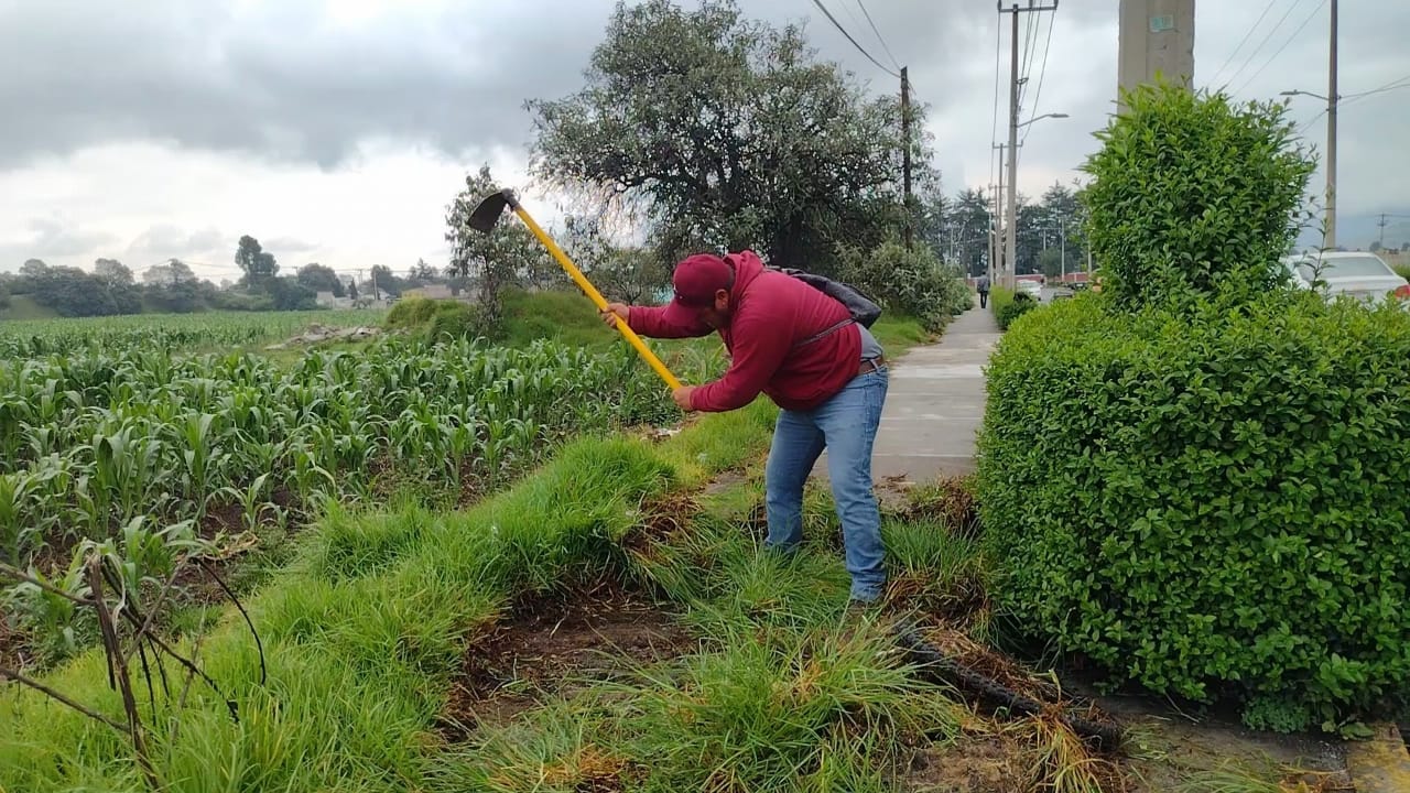 1688674237 817 ¡DiciendoYHaciendo por un municipio mas limpio Limpieza de banquetas poda