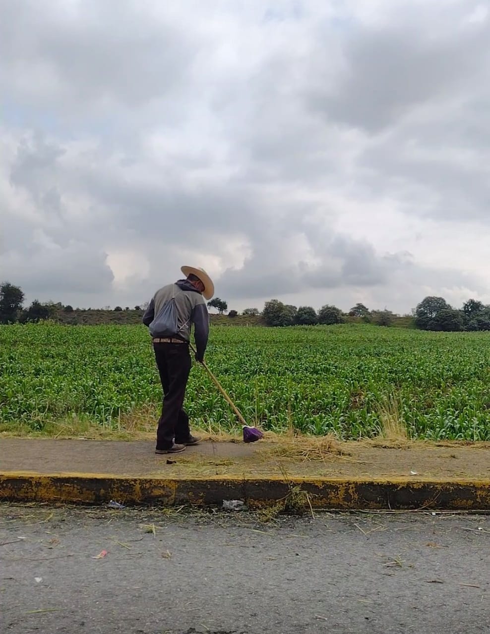 1688674245 573 ¡DiciendoYHaciendo por un municipio mas limpio Limpieza de banquetas poda