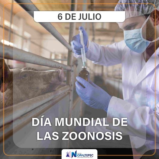 1688679689 La OMS designo el 6 de Julio como el