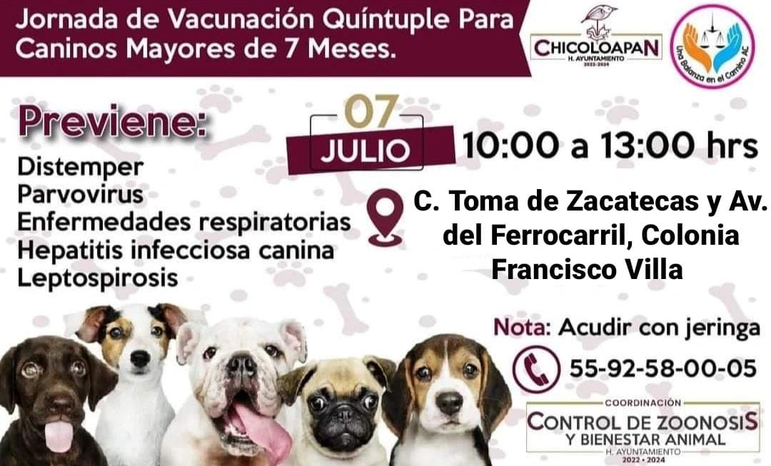 1688735301 La Jornada de Vacunacion Canina continua en diferentes sedes del