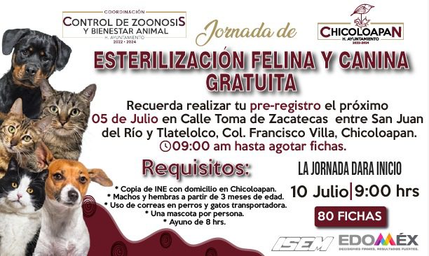 1688766644 Continua la jornada de esterilizacion que realiza la coordinacion de