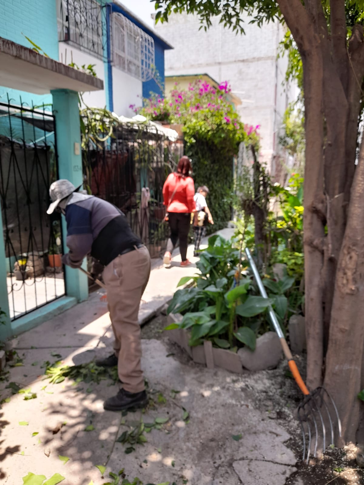 1688774239 532 El Gobierno Municipal de Jaltenco encabezado por la C Rosario