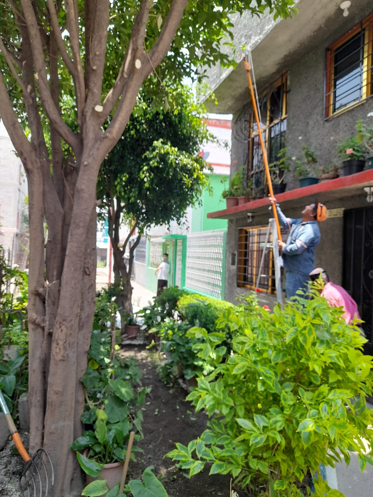 1688774301 El Gobierno Municipal de Jaltenco encabezado por la C Rosario