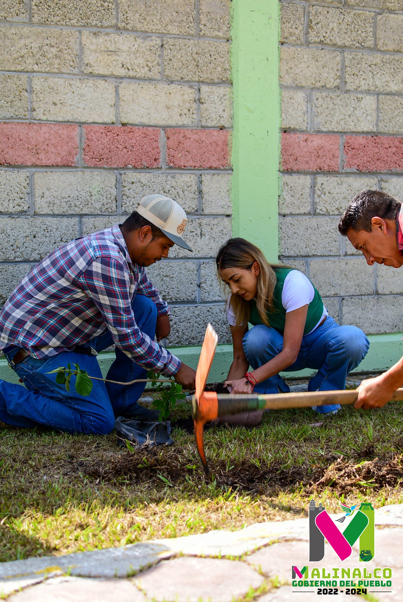 1688830417 830 Iniciamos con las reforestaciones en centros escolares aprovechando el inicio