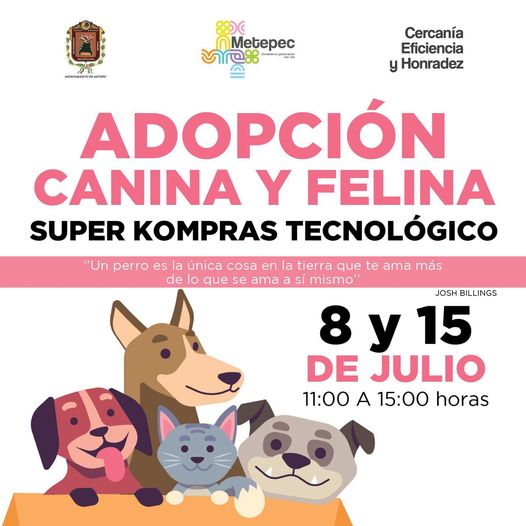 1688833364 Hoy puedes adoptar al nuevo integrante de tu familia Super