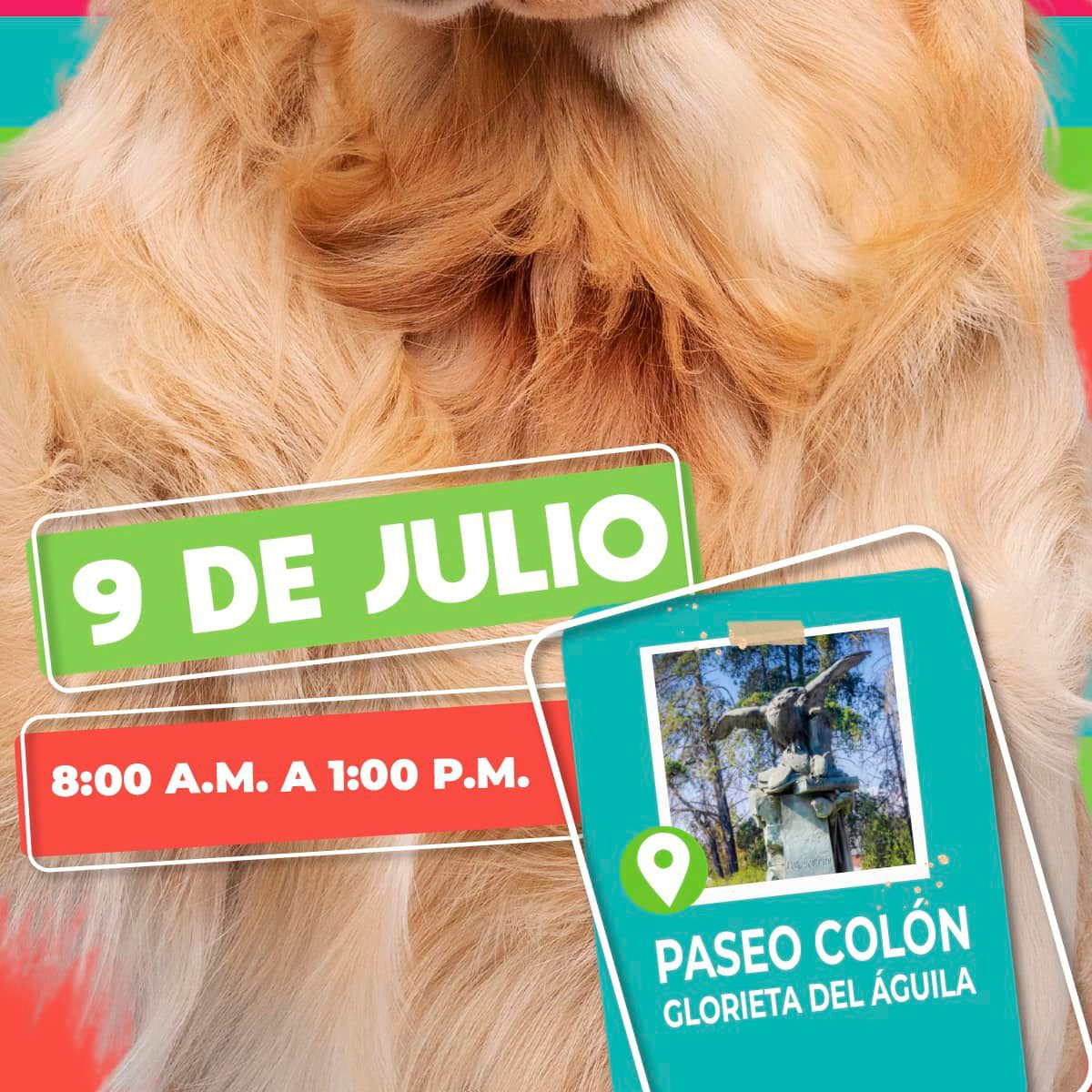 1688839716 651 Vive un domingo de diversion en compania de tu familia