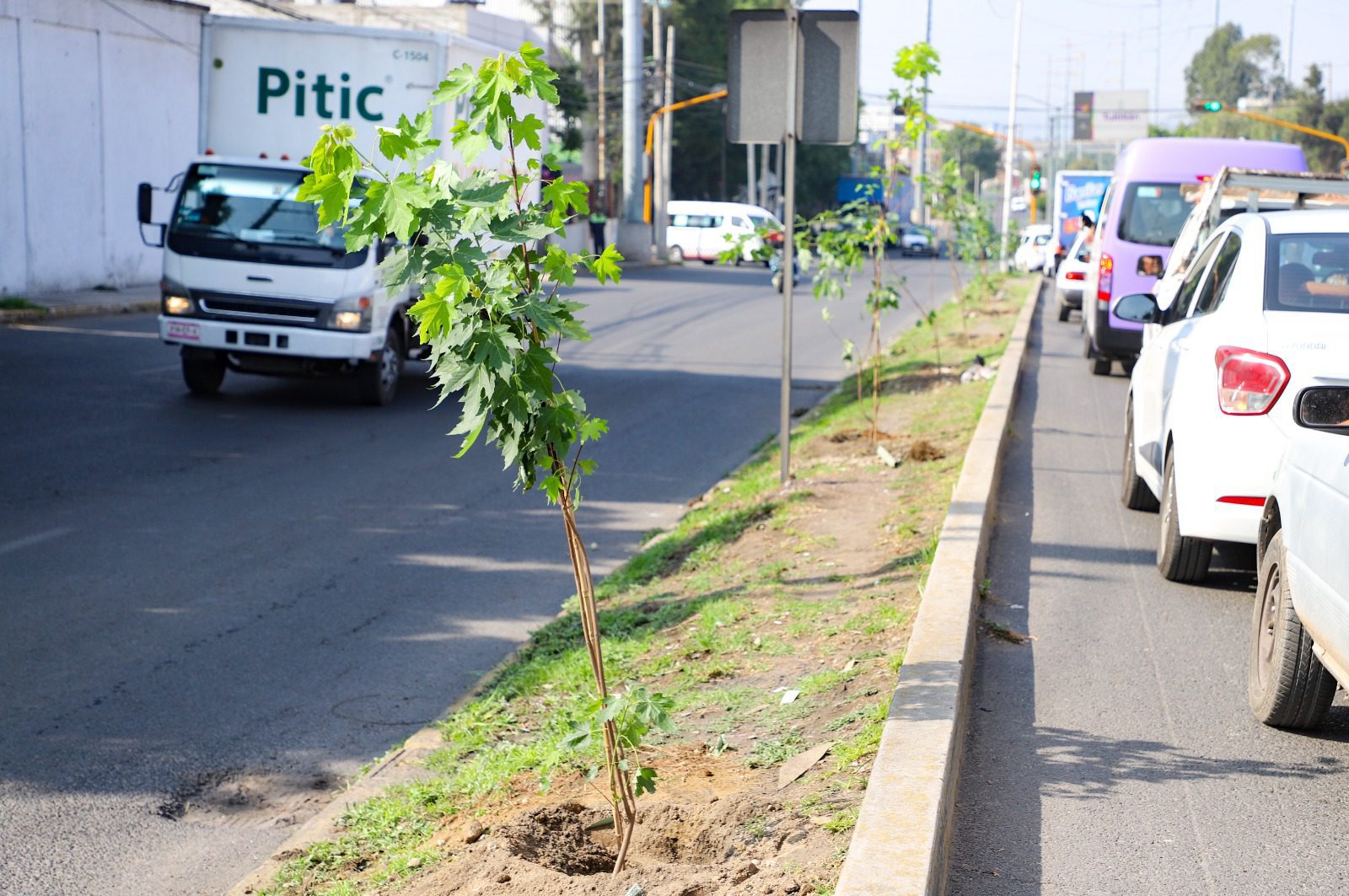 1688842251 212 Personal de la Direccion de Medio Ambiente y servidores publicos