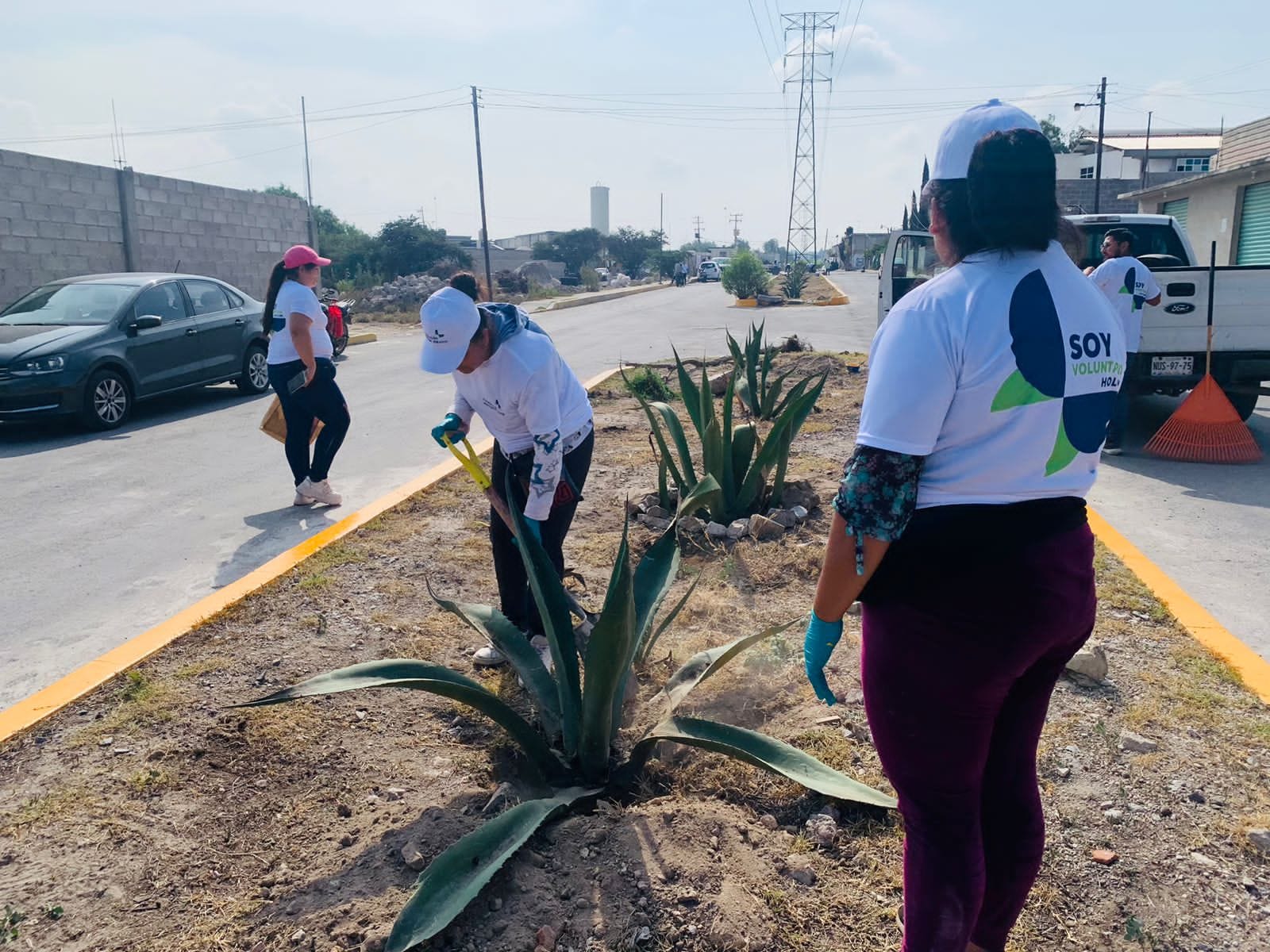 1688843179 869 PLANTAMOS MAGUEYES EN BULEVAR DE LOMA BONITA