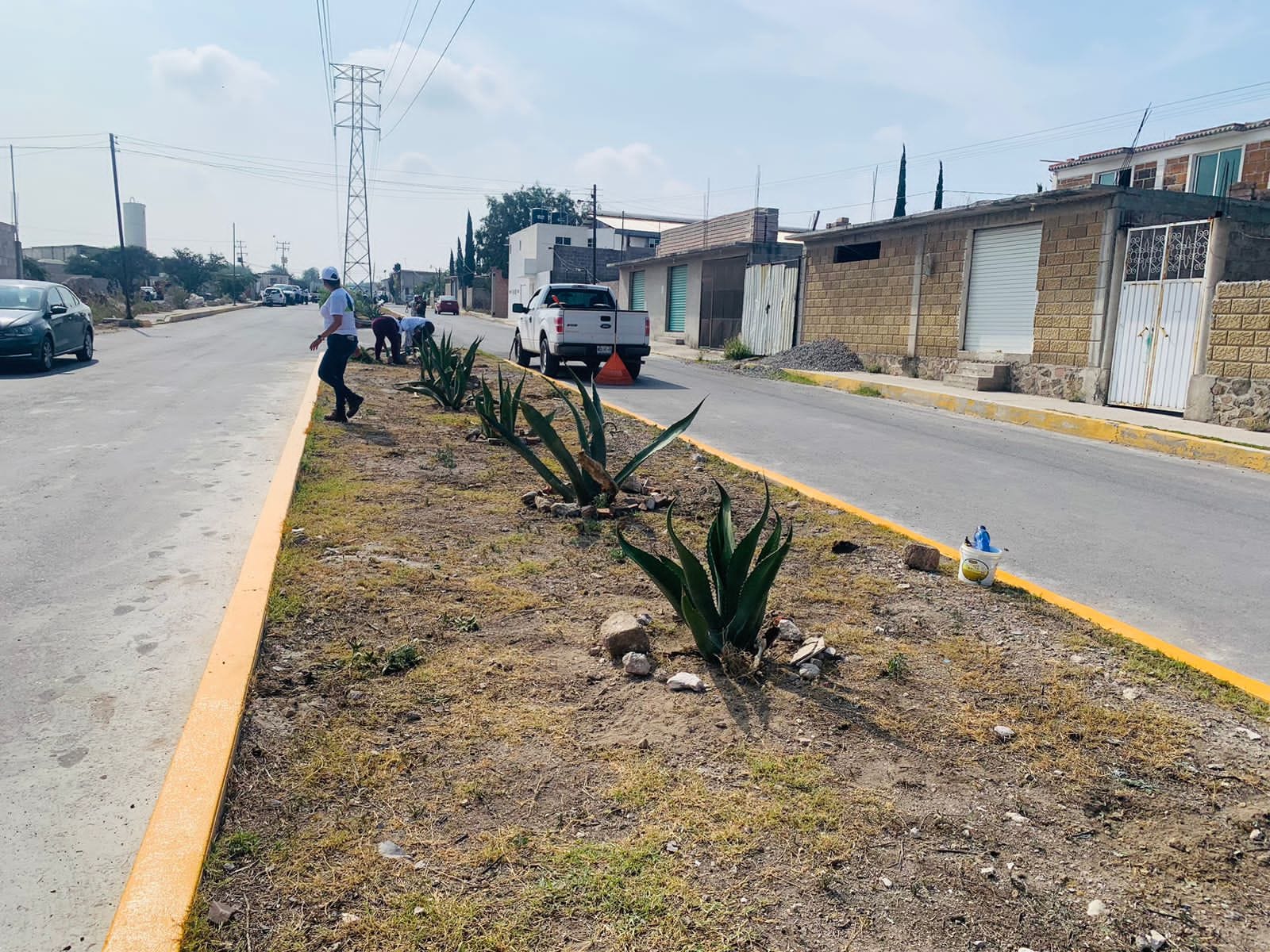 1688843199 695 PLANTAMOS MAGUEYES EN BULEVAR DE LOMA BONITA