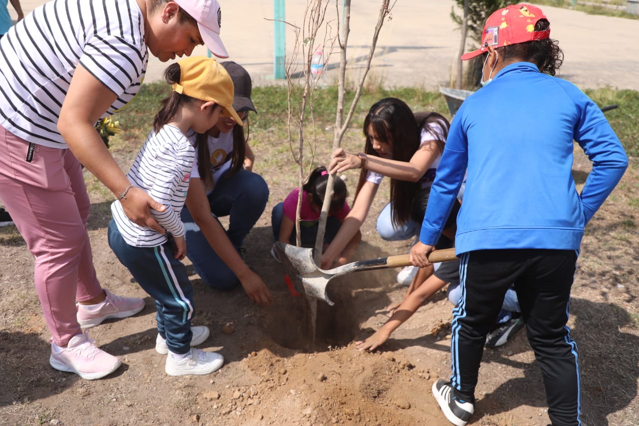 1688851117 52 ¡Continua la Campana de Reforestacion en ZumpanGO Hoy los pequenos