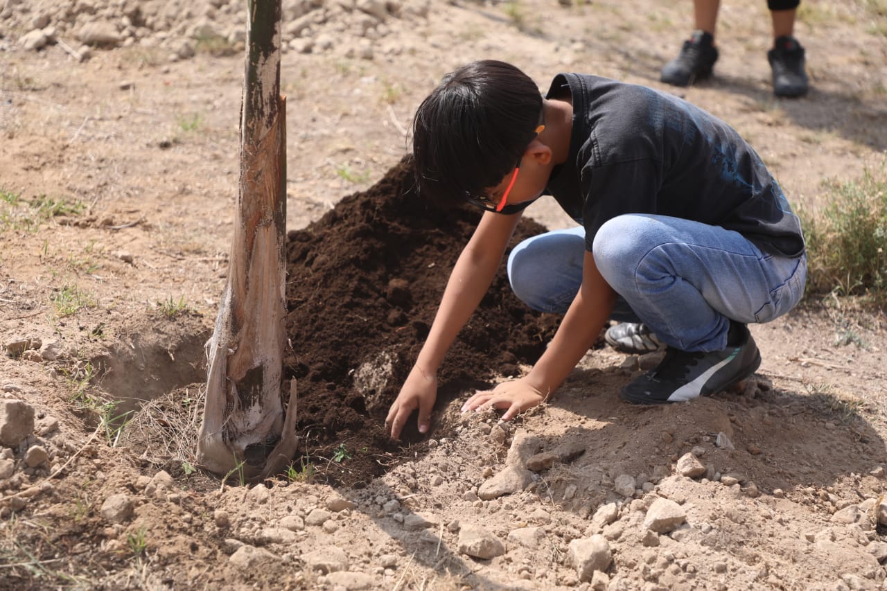 1688851124 750 ¡Continua la Campana de Reforestacion en ZumpanGO Hoy los pequenos