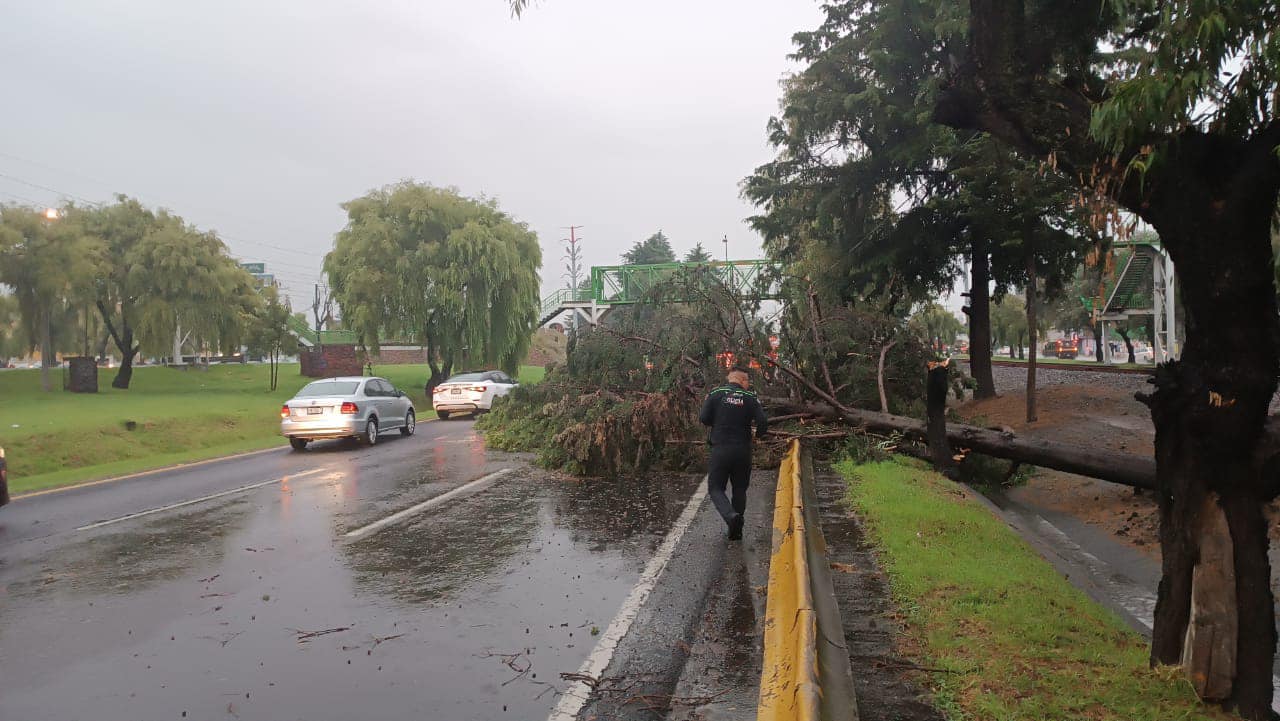 1688915091 PRECAUCION Le informamos a las y los toluquenos que