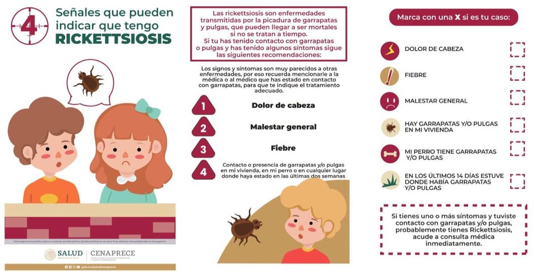 1688926516 Rickettsiosis II Senales que pueden indicar la presencia de una