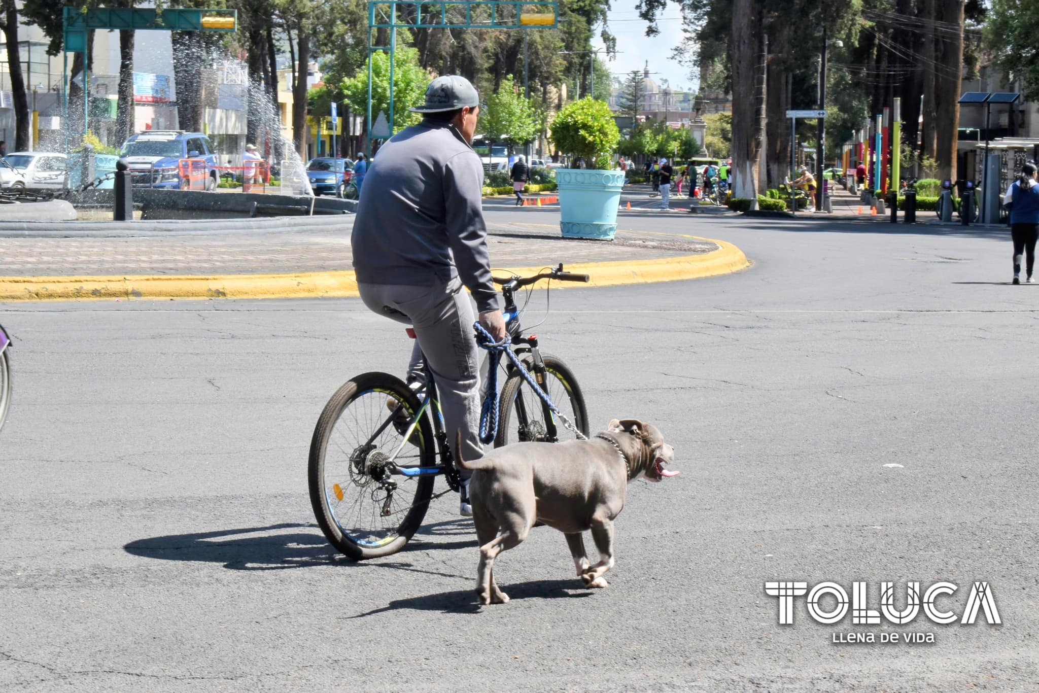 1688940102 491 ¡Con mucha alegria vivimos un PaseoDominical mas en Paseo Colon