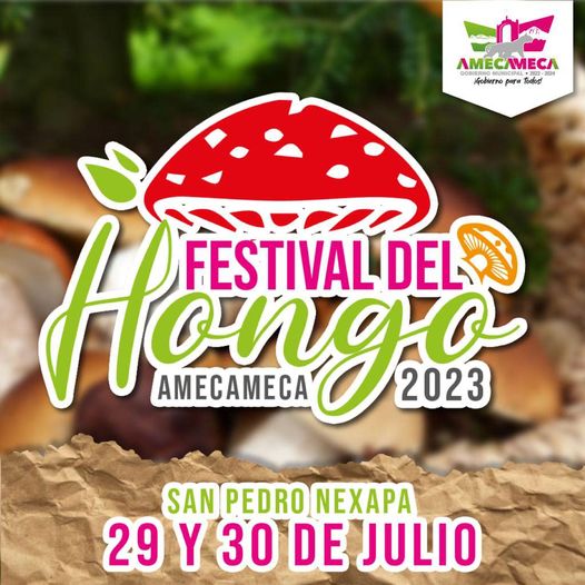 1688990510 El Festival del Hongo 2023 en San Pedro Nexapa esta