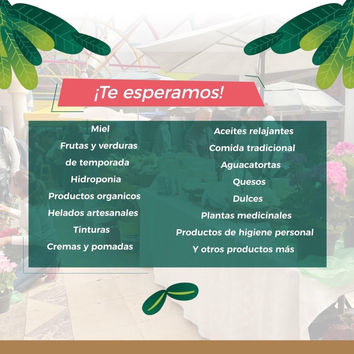 1688991026 395 ¡Nuestro Huerto Sustentable del DIF Toluca regreso para quedarse Acompananos