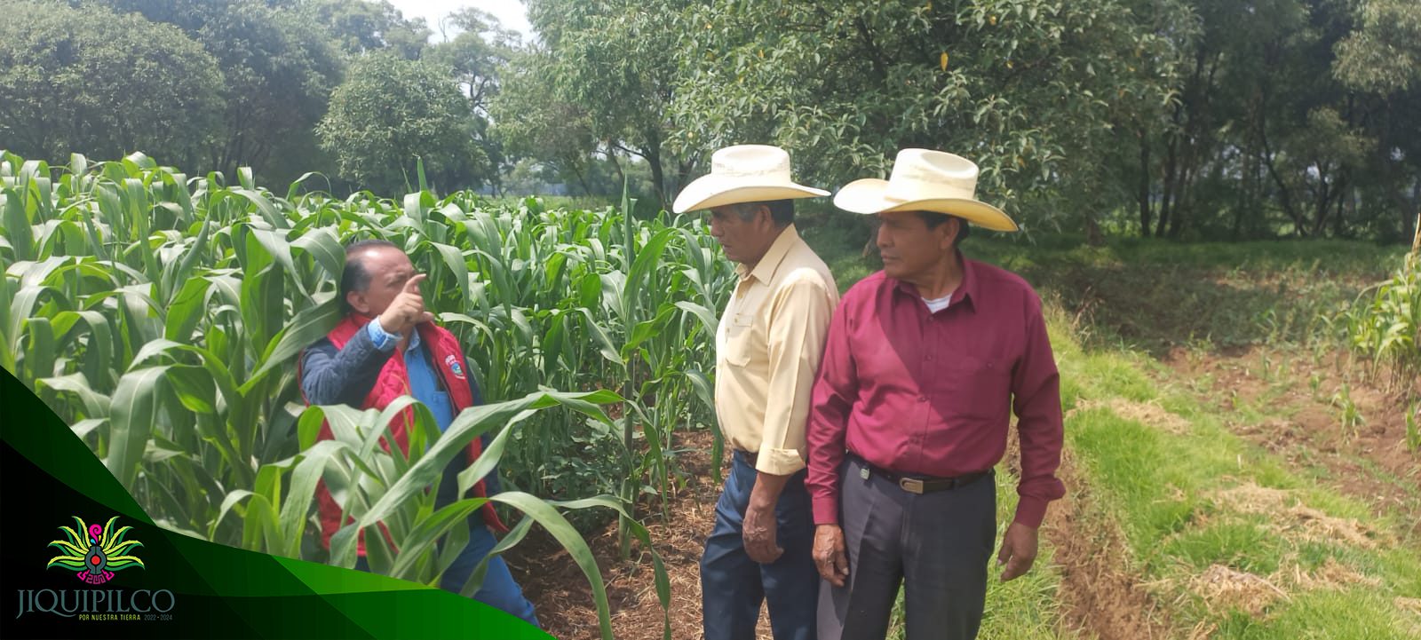 1688992591 952 En la Direccion del Campo seguimos trabajando visitando parcelas de