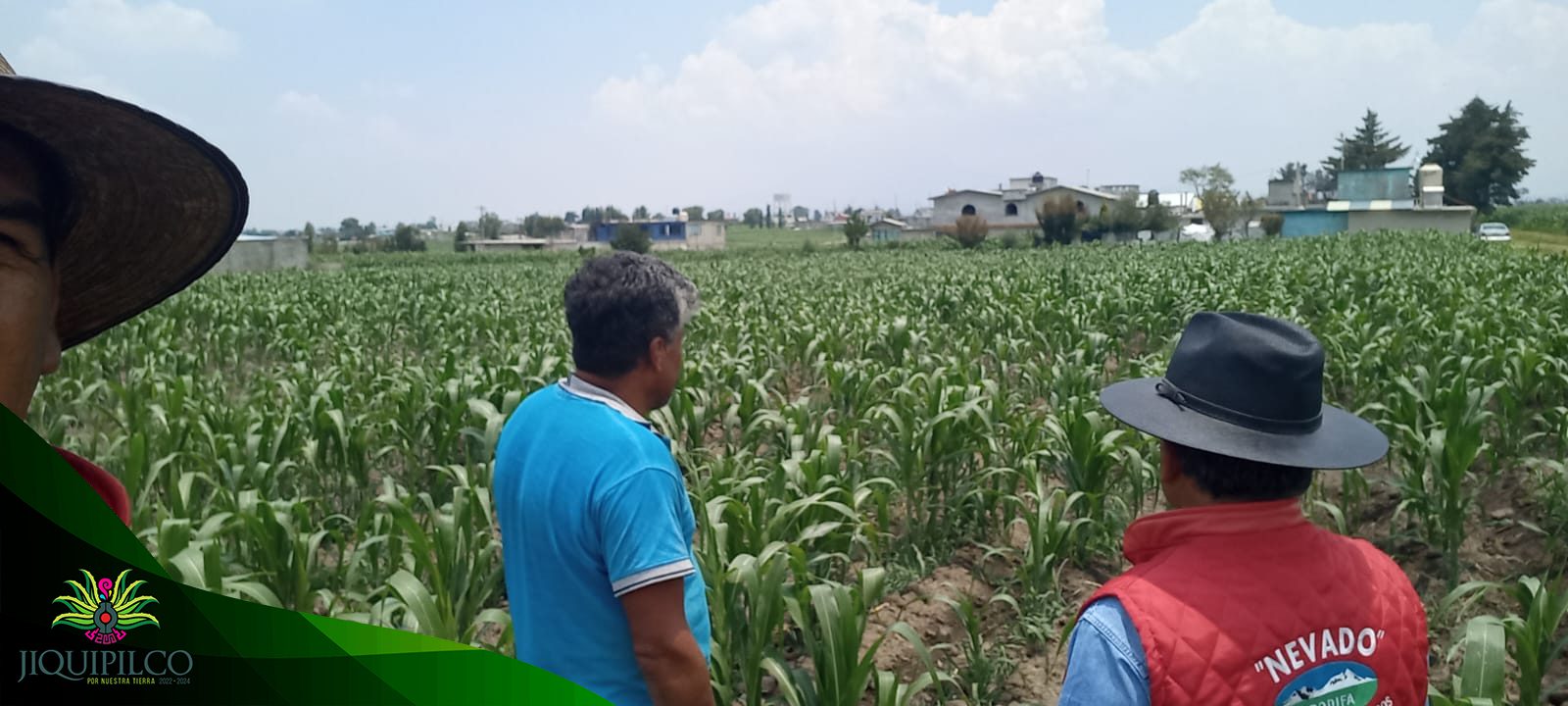 1688992605 941 En la Direccion del Campo seguimos trabajando visitando parcelas de